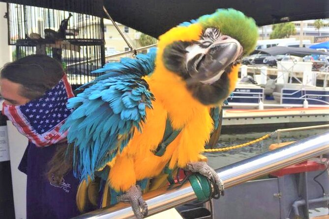 1-Hour Interactive Pirate Cruise (arrive 30 minutes early) - What to know before you sail