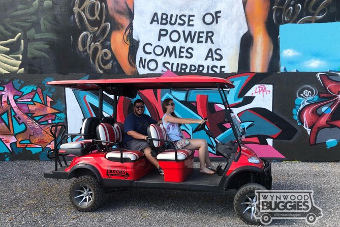 1 Hour WYNWOOD BUGGIES tour - What the artist-guide adds