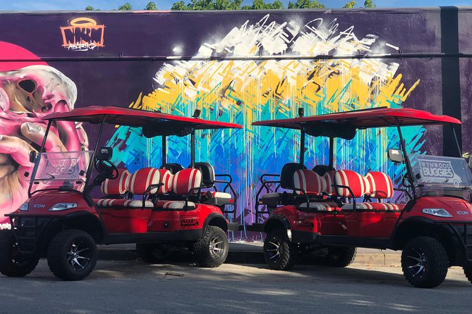 1 Hour WYNWOOD BUGGIES tour - The Wynwood Walls distinction