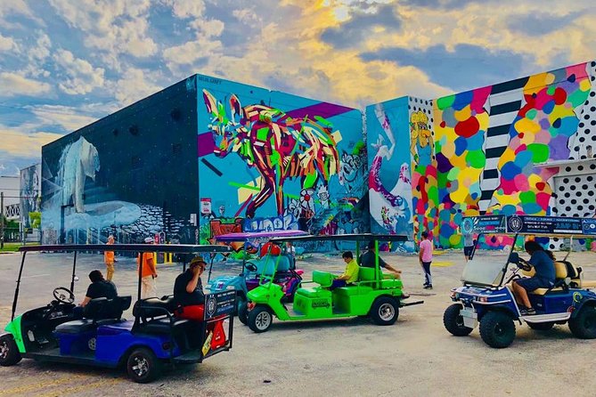1 Hour WYNWOOD BUGGIES tour - Is $45 good value for an hour?
