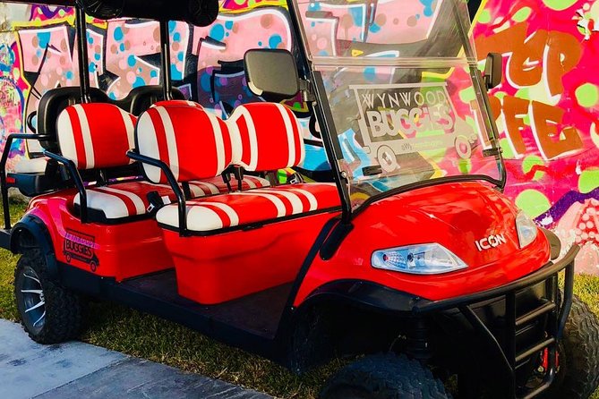 1 Hour WYNWOOD BUGGIES tour - Who should book this ride?