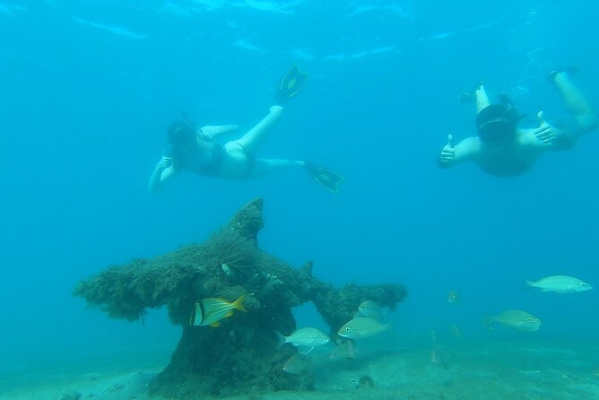2 ½ - Hour Guided Snorkel Tour of Phil Foster park, Free Videos! - Why a local guide changes the swim