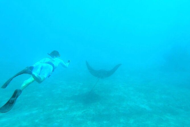 2 ½ - Hour Guided Snorkel Tour of Phil Foster park, Free Videos! - Is $44 good value?