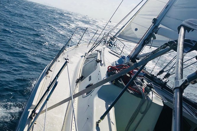 4-Hour Fort Lauderdale Sailing Charter - Wildlife sightings are a bonus, not the plan