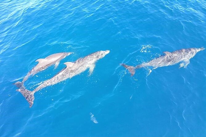 4-Hour Fort Lauderdale Sailing Charter - Who should book this sail?