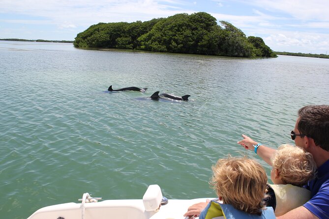 4 Hour Private Ecotour and Snorkeling Boat Tour - Snorkeling near Alligator Reef Lighthouse