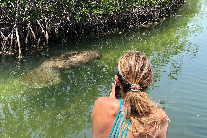 4 Hour Private Ecotour and Snorkeling Boat Tour - Practical details before you go