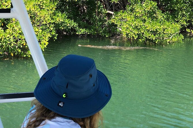 4 Hour Private Ecotour and Snorkeling Boat Tour - Who will enjoy this Islamorada trip most