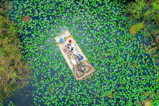 60 min. Everglades Airboat ride & pick-up ,small group +pro guide - The show adds a close-up wildlife moment