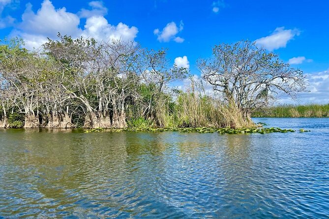 60 min. Everglades Airboat ride & pick-up ,small group +pro guide - What the Everglades stop does, and does not, include