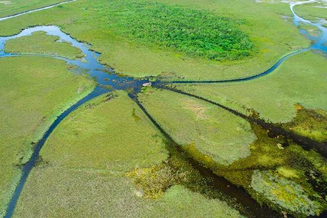 60 min. Everglades Airboat ride & pick-up ,small group +pro guide - On the airboat, speed and sightlines matter