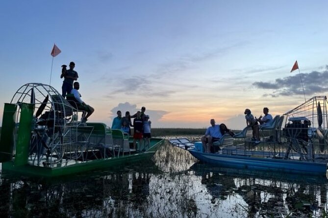 60 Minutes Small Group Everglades Airboat Ride in Miami - Alligators are the headline, but the habitat matters