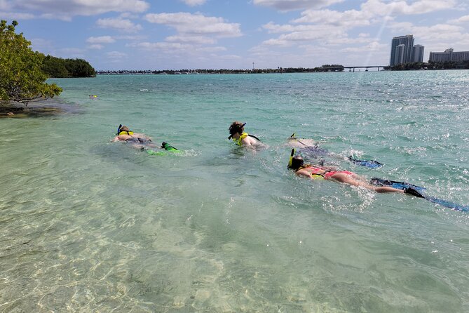 Beginner Friendly Island Snorkeling - A kayak route with an island at the end