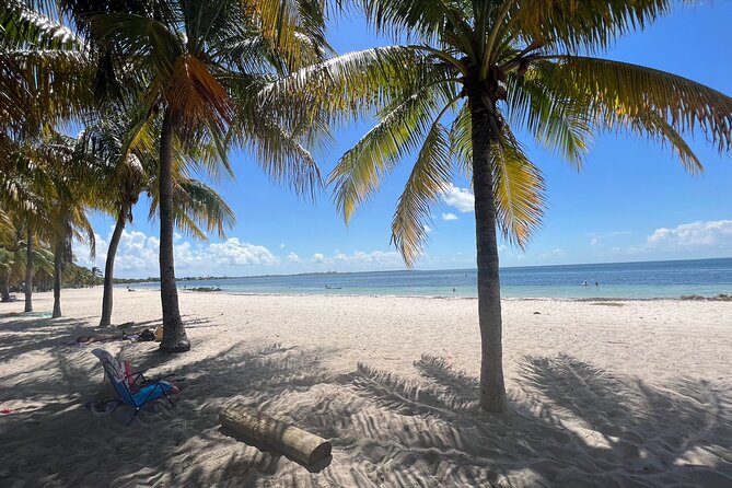 Beginner Scuba Diving Experience With Videos in West Palm Beach - What to know before you book
