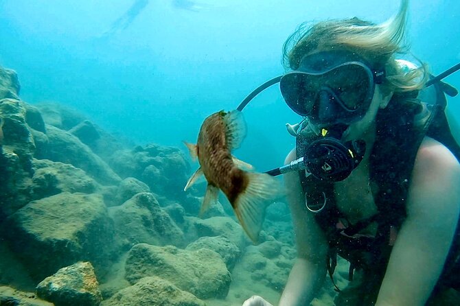Beginner Scuba Diving Experience With Videos in West Palm Beach - Your first steps happen in shallow water