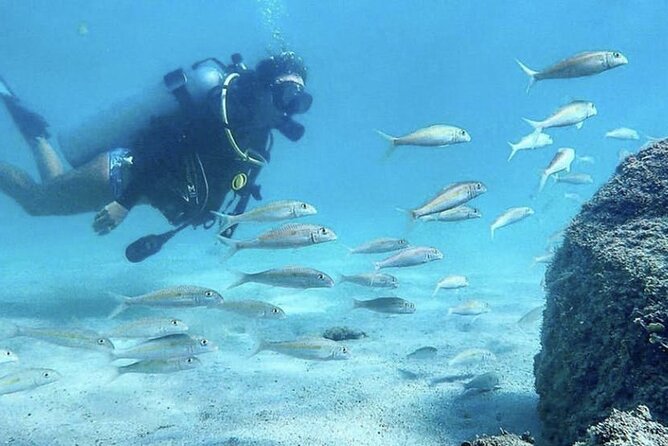Beginner Scuba Diving Experience With Videos in West Palm Beach - Who will get the most from this session?