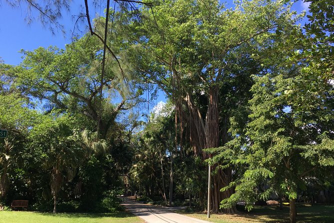 City Tour Miami PLUS and Boat Tour - Guides, vehicle comfort and the day’s pace