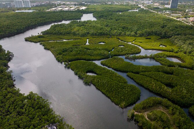 Clear Kayak Tour in North Miami Beach - Mangrove Tunnels - Who should book this North Miami kayak tour?