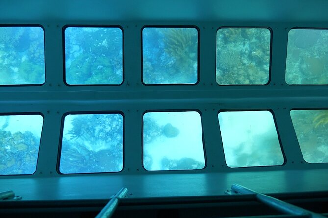 Day Tour Glass Bottom Boat In Islamorada - Who will enjoy this Islamorada cruise most