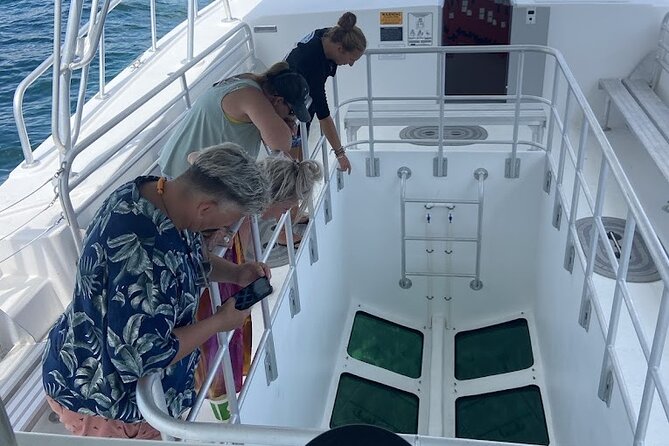 Day Tour Glass Bottom Boat In Islamorada - My take: book for the ride, with wildlife as a bonus