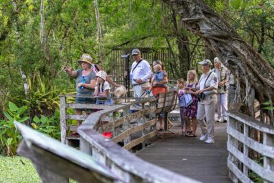Everglades Airboat Adventure with Hotel Transport from Miami