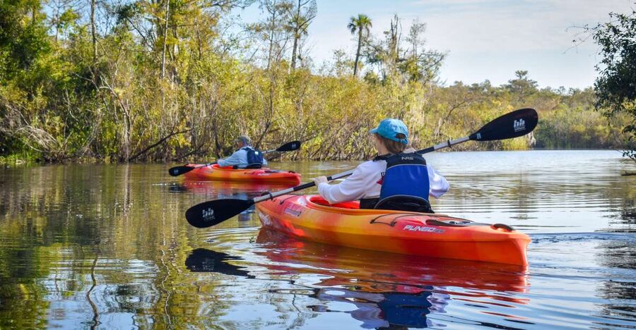 Everglades City: Guided Kayaking Tour of the Wetlands - Paddling into the mangrove tunnels