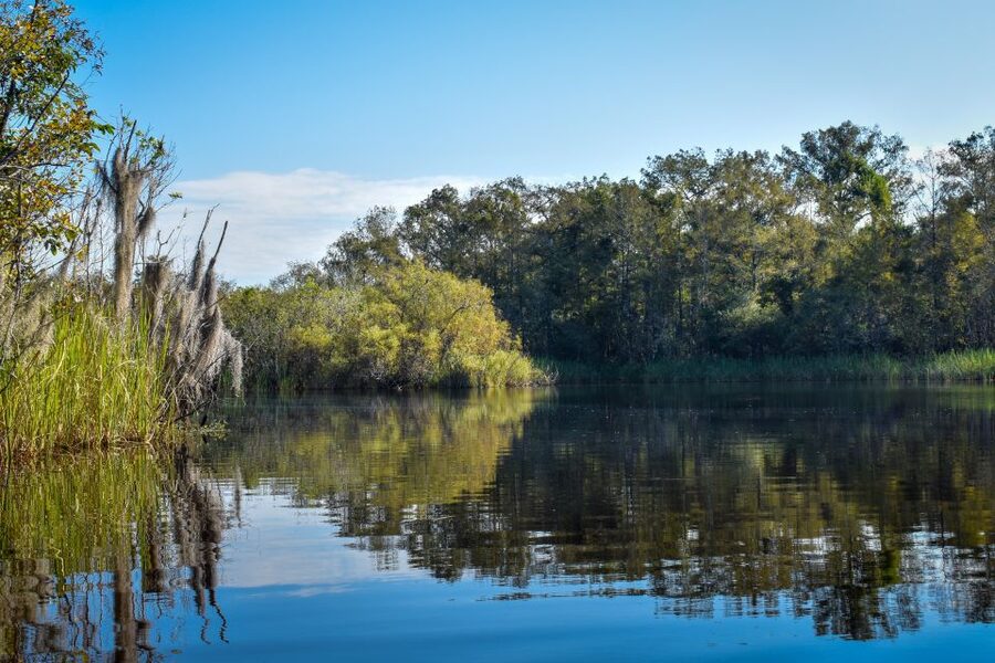 Everglades City: Guided Kayaking Tour of the Wetlands - Who should book this kayak trip?