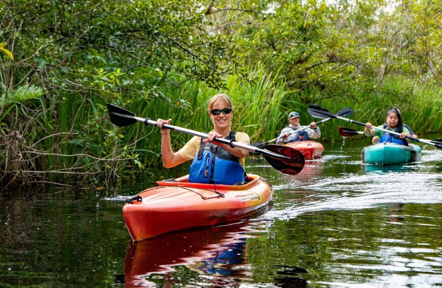 Everglades City: Guided Kayaking Tour of the Wetlands - Should you book?