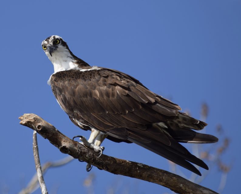 Everglades Day Safari from Fort Lauderdale - FAQ