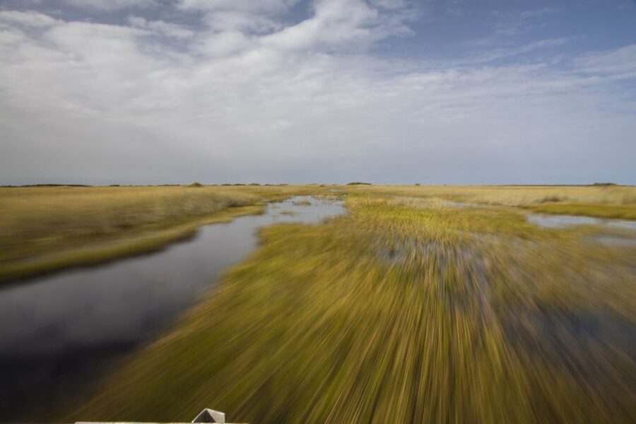 Everglades Day Safari from Fort Lauderdale - Mangrove channels and the 10,000 Islands
