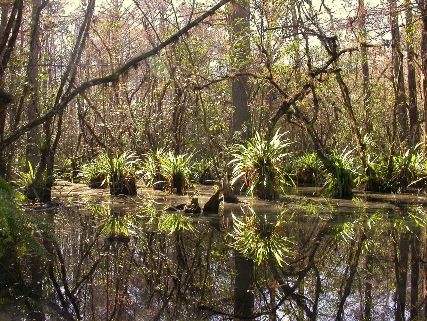 Everglades Day Safari from Fort Lauderdale - Who should book this safari?