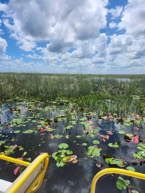 Everglades Eco Airboat Small-Group Tour & 2 Private Islands - Leaving Miami in a Suburban or Sprinter
