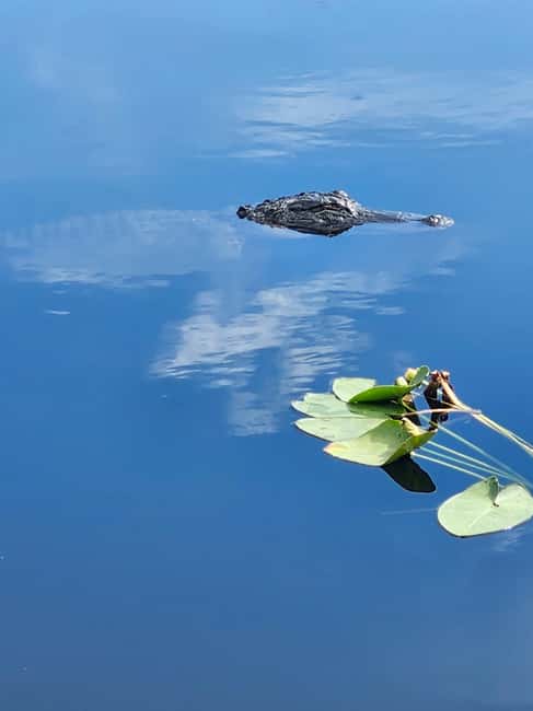 Everglades Eco Airboat Small-Group Tour & 2 Private Islands - Two islands with Miccosukee family ties