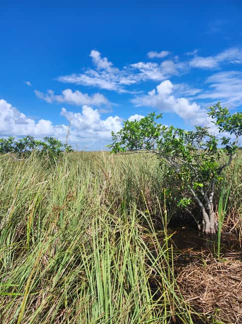 Everglades Eco Airboat Small-Group Tour & 2 Private Islands - On the water in a small, open-air boat