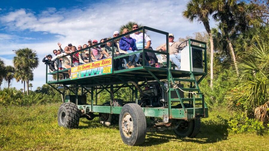 Everglades: Mangrove Maze Airboat Tour and Boardwalk - The Airboat Ride Through Mangrove Channels