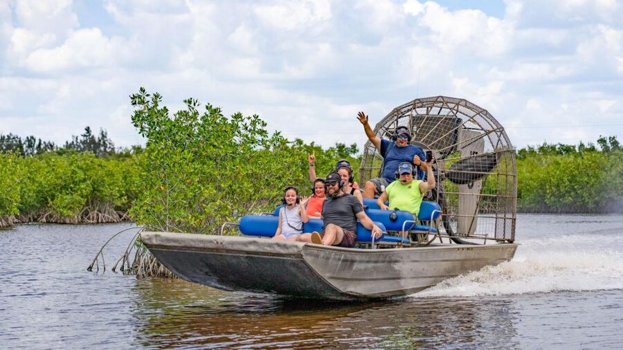 Everglades: Mangrove Maze Airboat Tour and Boardwalk - The Boardwalk: A Quieter Second Act