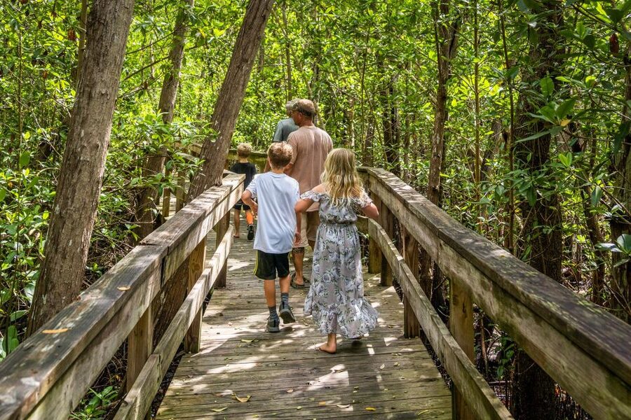 Everglades: Mangrove Maze Airboat Tour and Boardwalk - Should You Book It?
