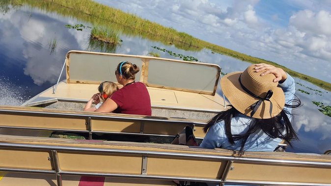 Everglades National Park Biologist Led Adventure: Cruise, Hike + Airboat - The day at a glance