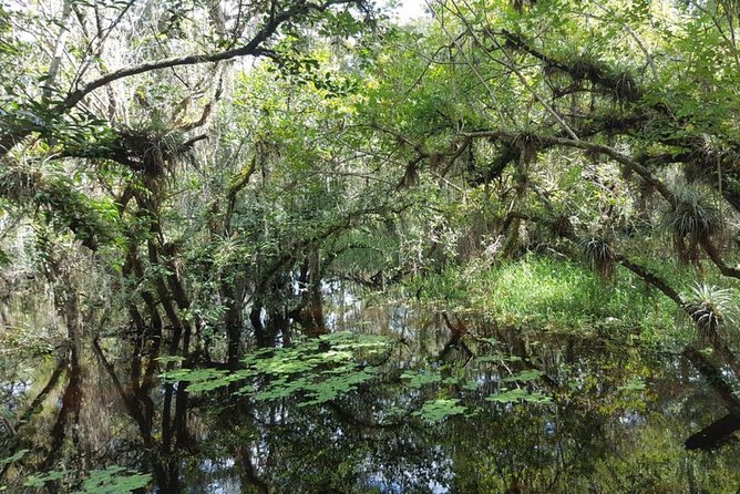 Everglades National Park Biologist Led Adventure: Cruise, Hike + Airboat - Into the River of Grass by airboat