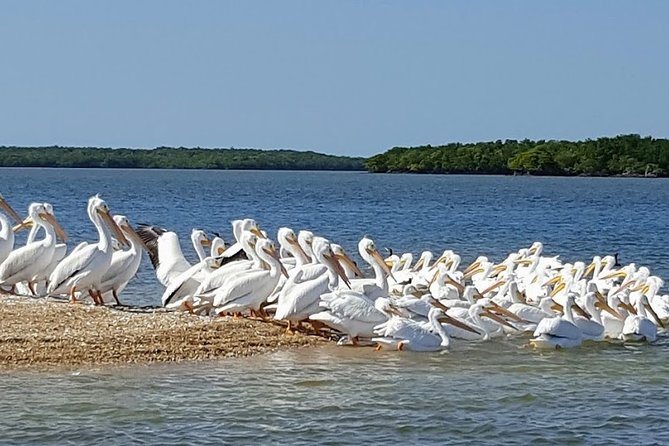 Everglades National Park Biologist Led Adventure: Cruise, Hike + Airboat - Cruising the Ten Thousand Islands