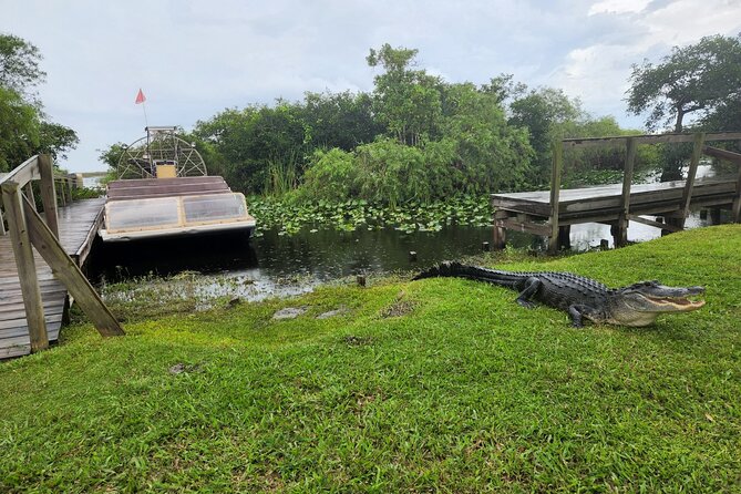 Everglades National Park Biologist Led Adventure: Cruise, Hike + Airboat - What the $295 price includes