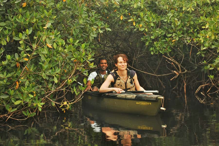 Everglades National Park: Mangrove Tunnel Kayak Eco-Tour - Meeting at Tamiami Trail East