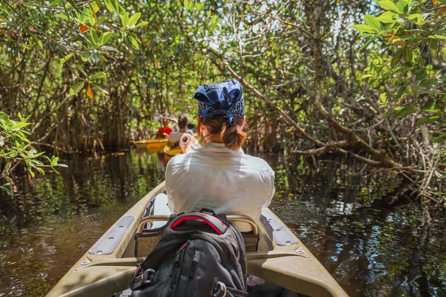 Everglades National Park: Mangrove Tunnel Kayak Eco-Tour - Wildlife, with no promise of a checklist