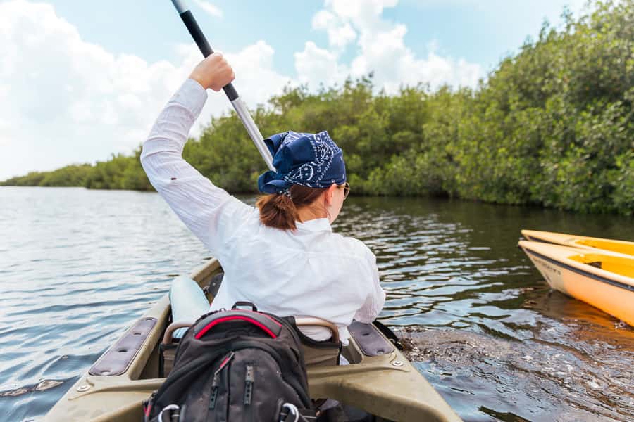 Everglades National Park: Mangrove Tunnel Kayak Eco-Tour - Following the creeks into the park