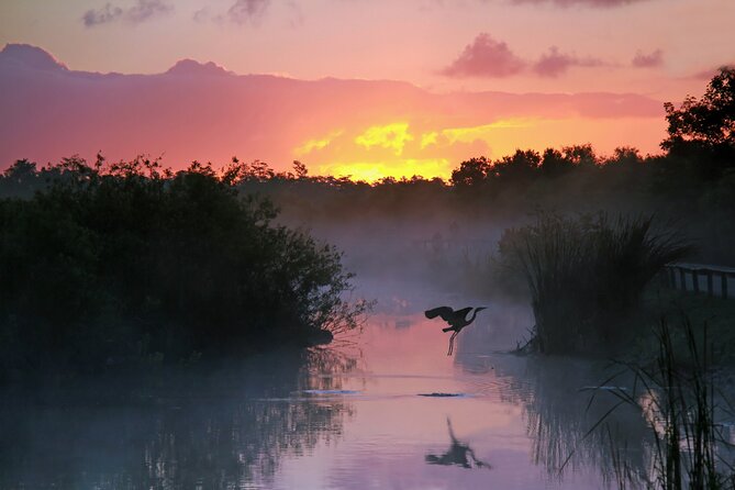 Everglades National Park: Self Guided Driving Audio Tour - Start in Florida City, not at a staffed meeting point