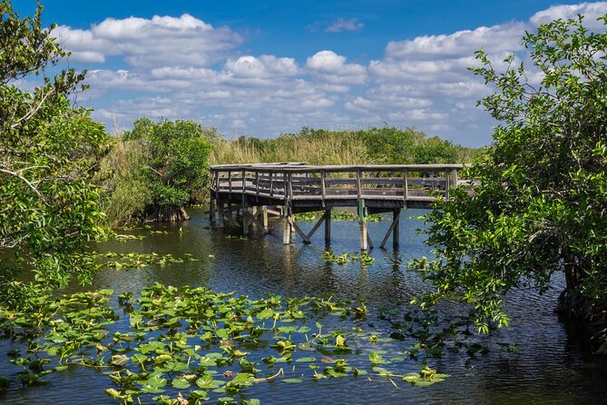 Everglades National Park: Self Guided Driving Audio Tour - Christian Point and Snake Bight: longer walks, fewer crowds