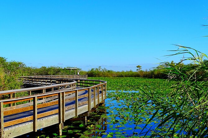 Everglades National Park: Self Guided Driving Audio Tour - West Lake and Nine Mile Pond: water-level wildlife