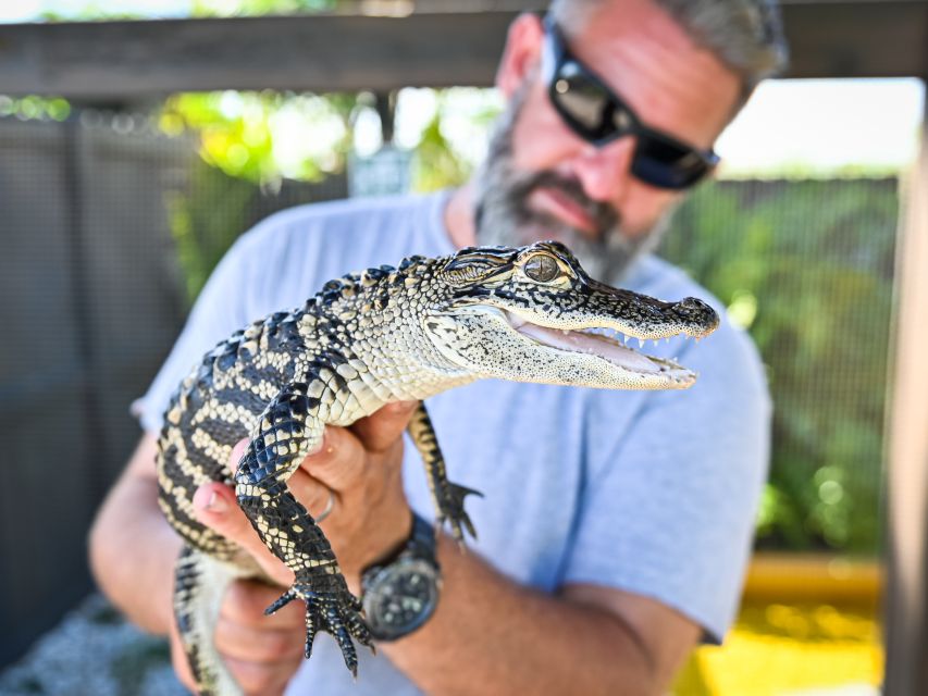 Everglades: Sawgrass Park Day Time Airboat Tour & Exhibits - Seminole history and the Everglades habitat