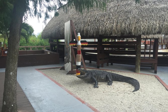 Everglades Small-Group Tour from Miami with Transportation - The Miami pickup shapes the morning