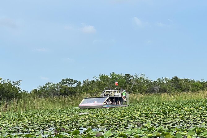 Everglades Small-Group Tour from Miami with Transportation - Is $82.98 good value?